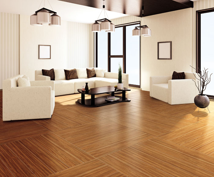 最美，不過當(dāng)陽光遇上森林