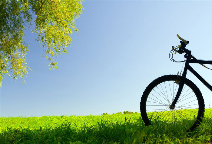 即便是春風(fēng)十里，依然不如你